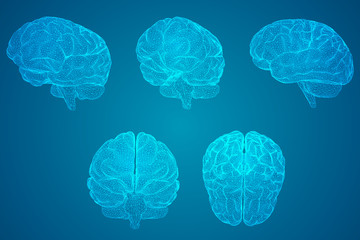 河南教师资格网官网/河南省教师资格网官网报名