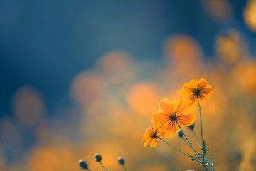 安徽省考成绩排名/安徽省考成绩排名系统