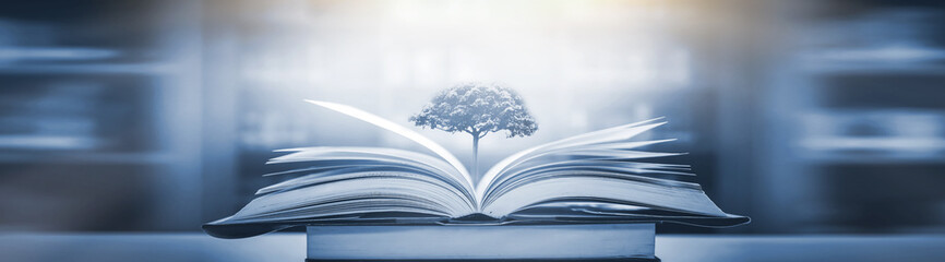 中国人力资源考试网官网（中国人力考试教育网）