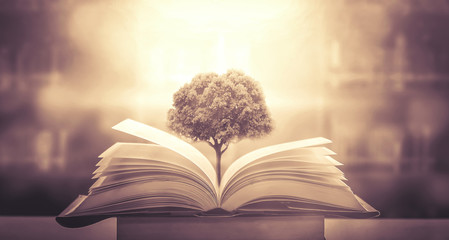 安徽省考成绩排名/安徽省考成绩排名系统