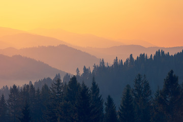 广西省考进面名单公布（广西省考进面分数）