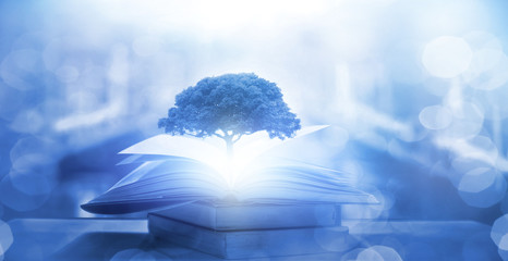 河南教师资格网官网/河南省教师资格网官网报名