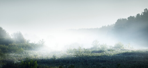 河南教师资格网官网/河南省教师资格网官网报名