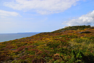 安徽省考成绩排名/安徽省考成绩排名系统