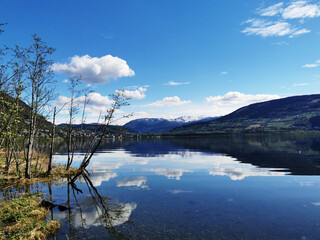 中国人力资源考试网官网（中国人力考试教育网）