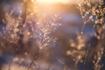 【一万五买了一个教师资格证,买一个教师资格证能买吗】