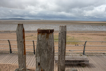 河南教师资格网官网/河南省教师资格网官网报名