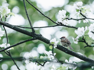 广西省考进面名单公布（广西省考进面分数）