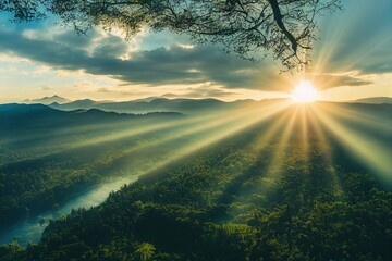 国家医师资格考试官网（国家医师资格考试中心）