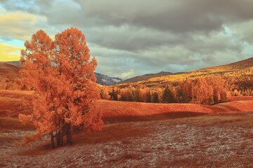 中国人力资源考试网官网（中国人力考试教育网）