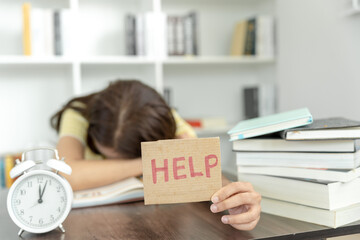 ynzscn云南招生网站（ynzscn云南招生网站官网）