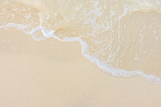 中国人力资源考试网官网（中国人力考试教育网）