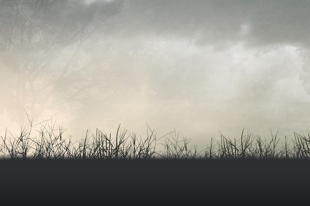 云南招考网录取查询/云南招生考试官网频道查录取