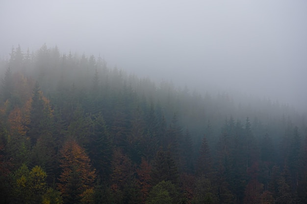 体育专业考研院校排名/体育考研院校汇总
