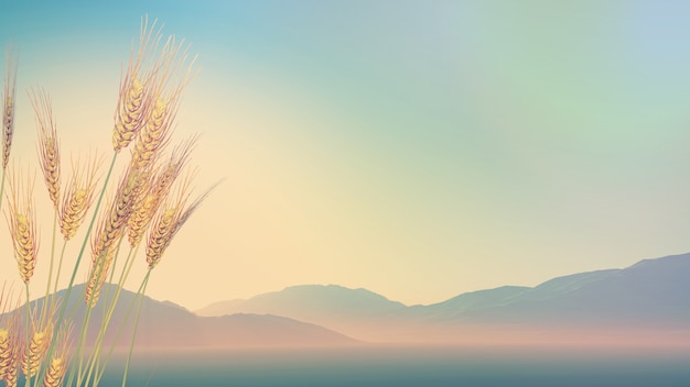 【一万五买了一个教师资格证,买一个教师资格证能买吗】