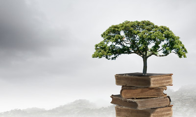 ynzscn云南招生网站（ynzscn云南招生网站官网）