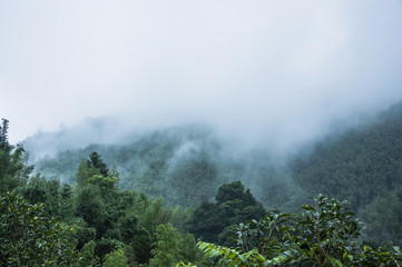 体育专业考研院校排名/体育考研院校汇总